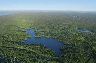 Forest and lakes